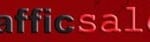 traffic-salon-logo