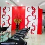 mary-pauline-salon-01