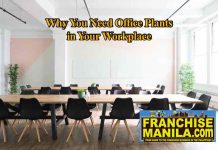 4 Reasons Why You Need Office Plants In Your Workplace office plants in workplace
