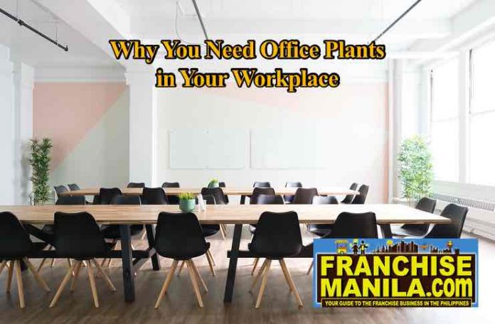 office plants in workplace