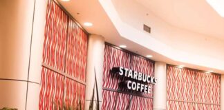 How to Secure Big Business Loans for Franchise Expansion in the Philippines How to Secure Big Business Loans for Franchise Expansion in the Philippines