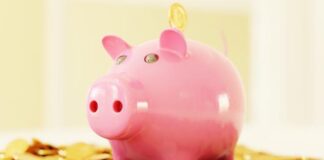 Frugal Franchise Foundations: Smart Saving Strategies for Starters Frugal Franchise Foundations