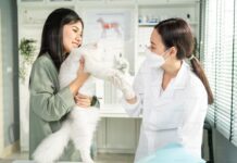 Why Starting a Pet-Care Enterprise Today is a Smart Move Starting a Pet-Care Enterprise