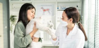 Why Starting a Pet-Care Enterprise Today is a Smart Move Starting a Pet-Care Enterprise