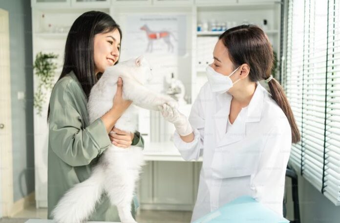 Starting a Pet-Care Enterprise