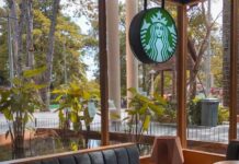 Franchise Structures You Could Follow for Your Own Franchise Structures