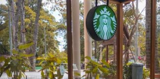 Franchise Structures You Could Follow for Your Own Franchise Structures