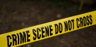 Tips to Protect Your Business from Different Scenarios: Expert Advice Protect Your Business