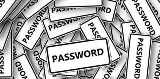 How to Choose the Right Network Security Solution for Your Needs How to Choose the Right Network Security Solution for Your Needs