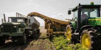 Making Agriculture Smarter with the Automated Garlic Storage Bridge Crane smarter agriculture